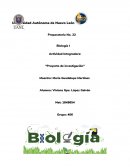 ¿Qué es lo que causa toda esta acumulación de agua?