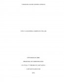 Huellas del pasado: Un viaje a las siete maravillas del mundo antiguo