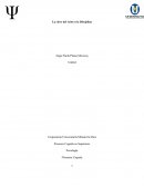 La disciplina es la clave del exito.