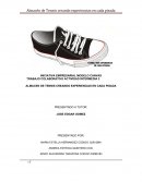 Almacen de Tennis creando experiencias en cada pisada