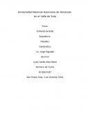 Tema - El Mundo de Sofia