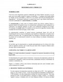 CAPITULO # 7 METEORIZACION Y PRODUCTO