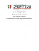 Tema: Análisis del Capitalismo..