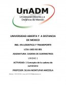 ANALISIS DE UNA CADENA DE SUMINISTRO.