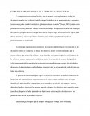 Estrategias organizacionales y de expansión geográfica.