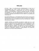 Proyecto: LA contaminación.