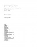 Uacj experimental - Implicación de las redes sociales en la relación de pareja