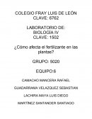 ¿Cómo afecta el fertilizante en las plantas?
