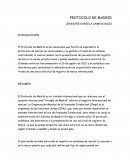 PROTOCOLO DE MADRID.