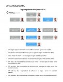 ORGANIGRAMA.