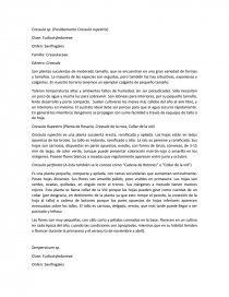El Manual de procedimientos.. Página 1