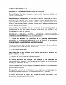 DIFERENTES CLASES DE COMPETENCIA IMPERFECTA
