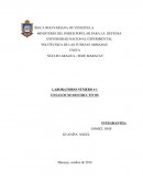 LABORATORIO - ENSAYOS NO DESTRUCTIVOS