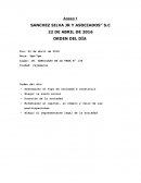 Constitucion de empresas s.c.