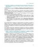 CASO 1: CASO COLOURS.NET.