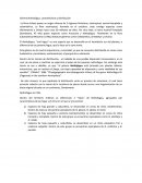 Género Nothofagus, características y distribución.