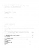 EVALUACION DE PROYECTOS – PRIMER AVANCE “PROYECTO DE INVERSION PARA IMPLEMENTAR UN SERVICIO DE CICLOTURISMO EN LA REGION DE LOS RIOS”.