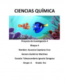 HAGAMOS CON LOS DESECHOS ALGO DE PROVECHO