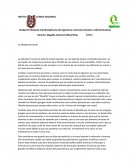 Resumen mundo de sofia.