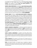 SEÑOR NOTARIO DE FE PÚBLICA