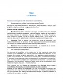 Resumen de los aspectos más relevantes de cada subtema.