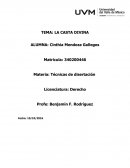 TEMA: LA CASTA DIVINA