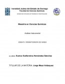 Análisis Instrumental ENSAYO: CROMATOGRAFÍA DE GASES