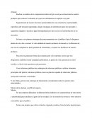 Estrategas de Importacion.