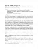 Estudió de mercado ejemplo.