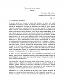 Fuentes externas de amparo.