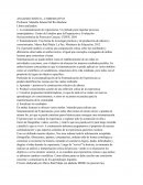 ANALISIS CRITICO – COMPARATIVO