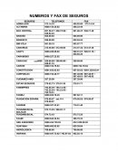 Organizacion- NUMEROS Y FAX DE SEGUROS.