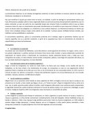 PARA EL ANALISIS DE UN LUGAR EN EL MUNDO.