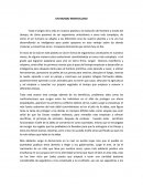 Ensayo Un Mundo Maravilloso.