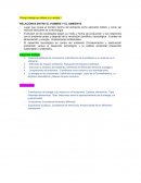 RELACIONES ENTRE EL HOMBRE Y EL AMBIENTE..