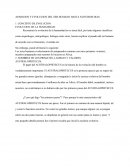 EVOLUCION HASTA NUESTROS DIAS.