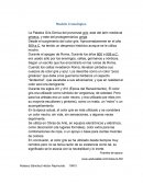 Modelos Expositivos Color Gris