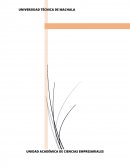 Proyecto de la empresa la Fabril.