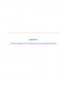 Informe de laboratorio agua parámetros Físico-Químicos.