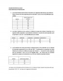 COLEGIO MAYOR DEL CAUCA - PLAN MAESTRO DE PRODUCCION.