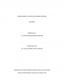 DESCRIBCION ANATOMICA EN SITIOS DE POSIBLES LESIONES.