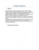 Ácidos nucleicos. Bioquímica