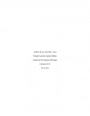 Analisis de una actividad o tarea.Gestión de Prevención de Riesgos