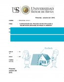 CONFIGURCION DEL PROCESO DE RECTIFICACION O DELIMITACION.
