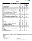 MATRIZ EFI FACTORES INTERNOS CLAVES