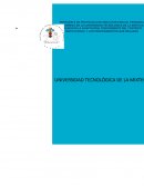 La siguiente investigación tiene por objetivo proponer el diseño de un protocolo de inducción en la Universidad Tecnológica de la Mixteca