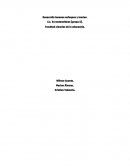 DESARROLLO HUMANO...