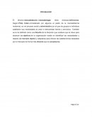 El Rol del Marketing.