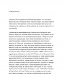 Ensayo davinci - Anatomía Humana