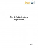 INFORME AUDITORIA PEC.